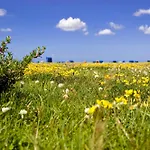 Watt'n Glueck - Vollstaendig Eingezaeunt - In Nessmersiel Prázdninový dům